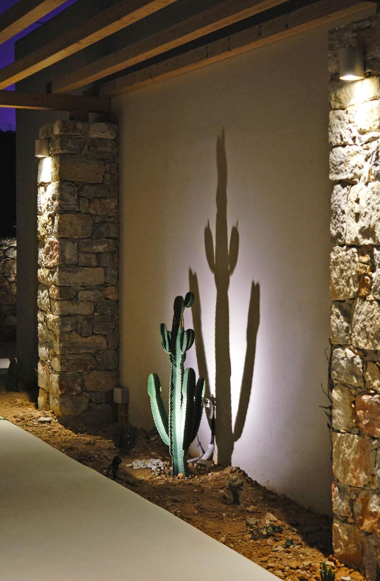 Agave Donousa Suites エクステリア 写真