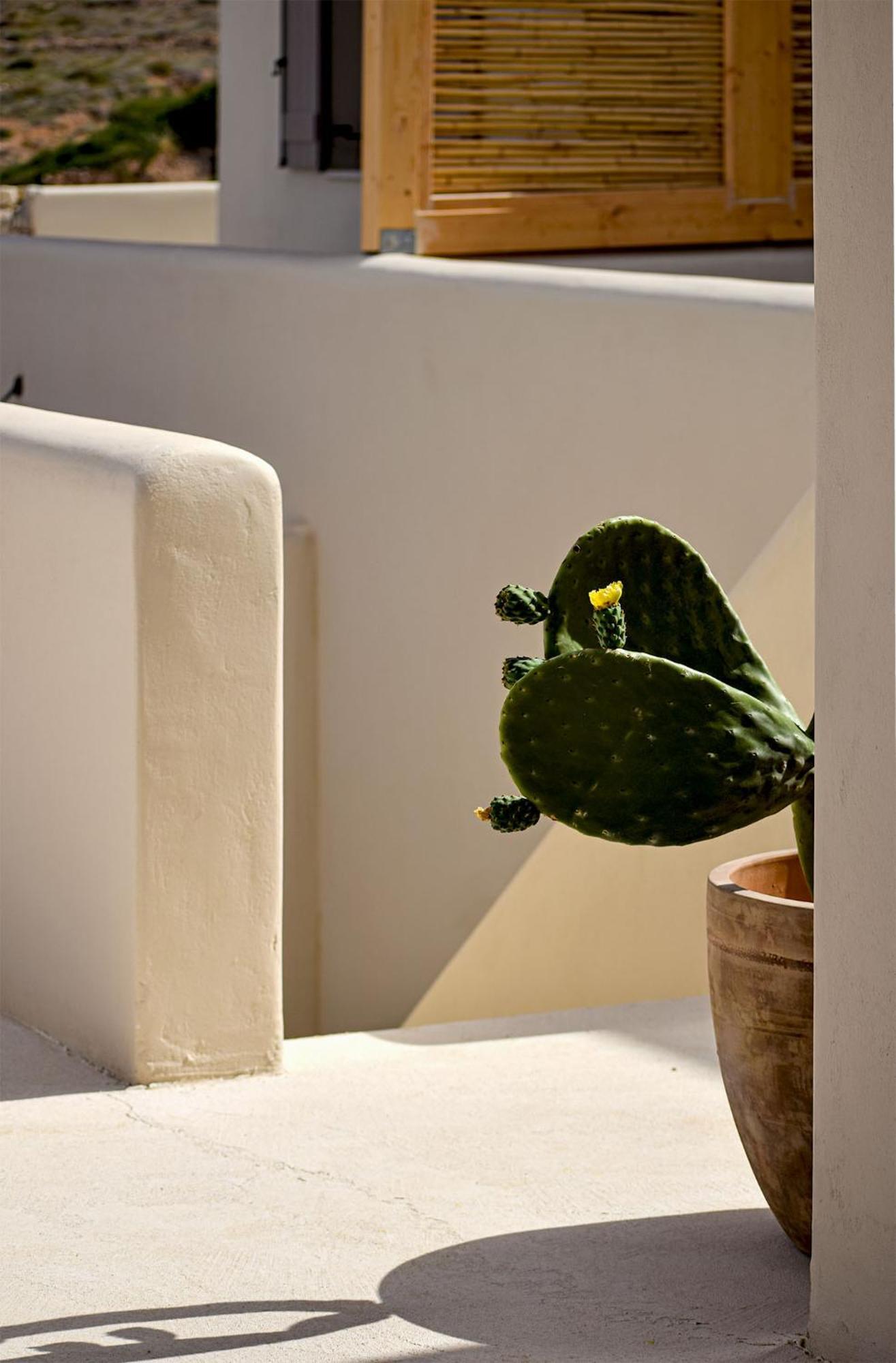 Agave Donousa Suites エクステリア 写真